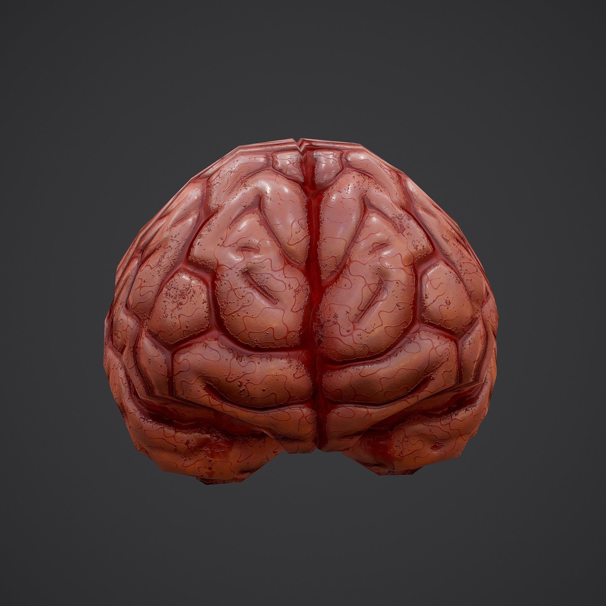 Human Brain Low-poly 3D model_23