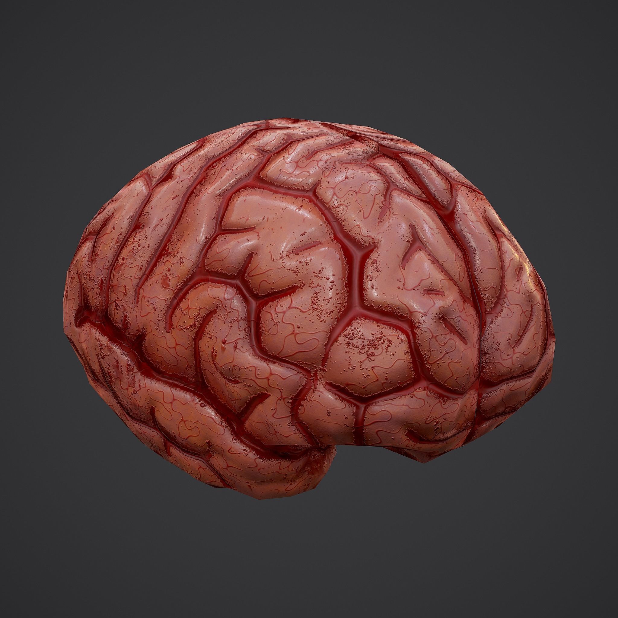 Human Brain Low-poly 3D model_3