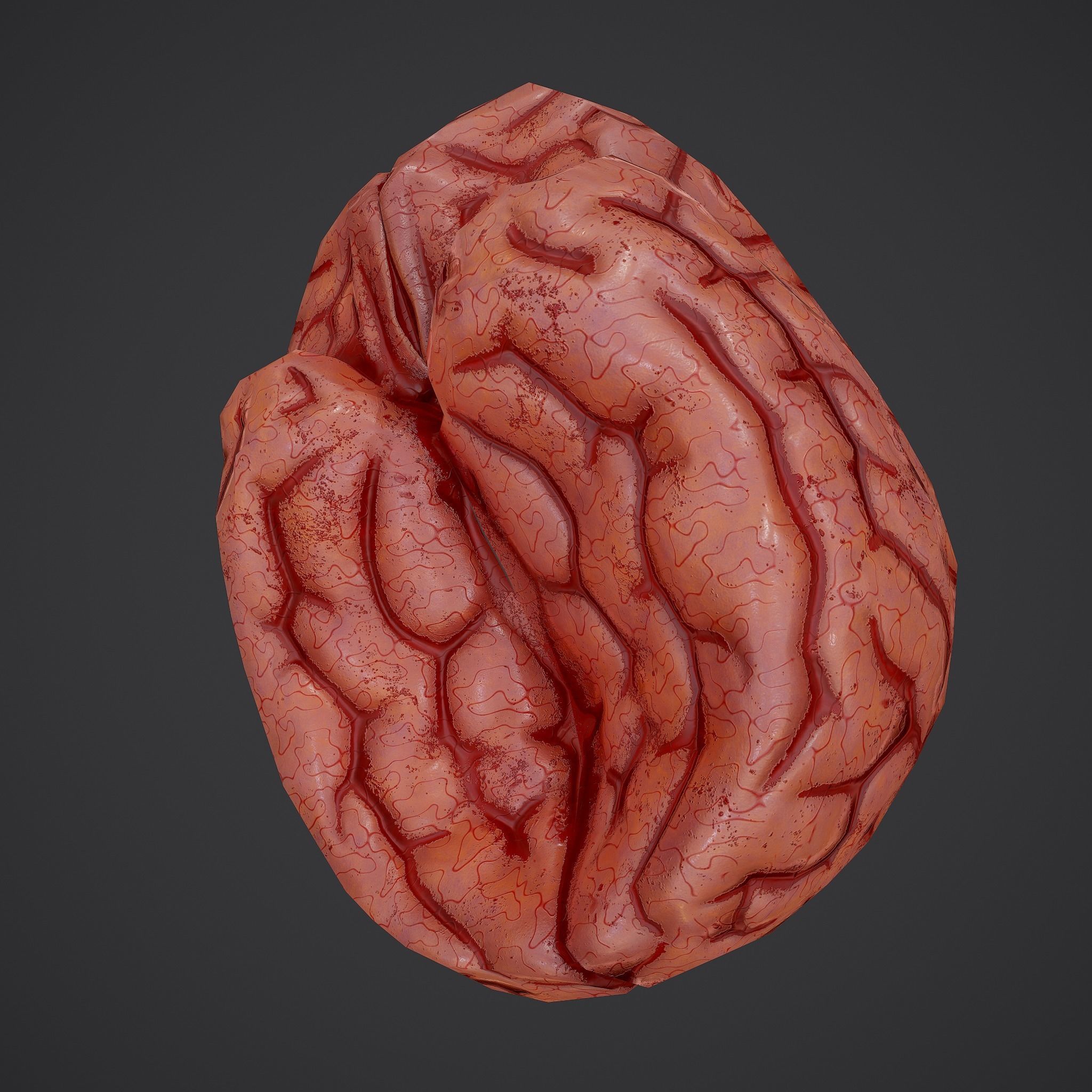 Human Brain Low-poly 3D model_19