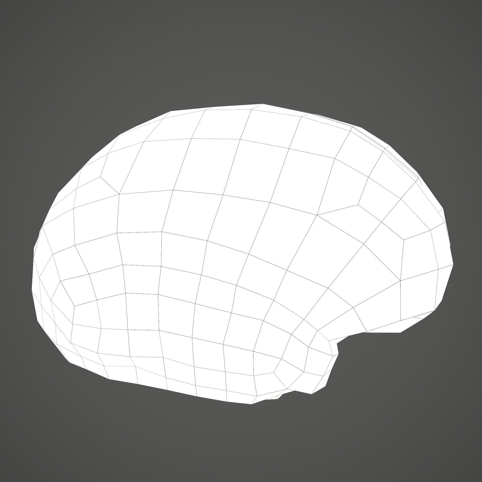 Human Brain Low-poly 3D model_27