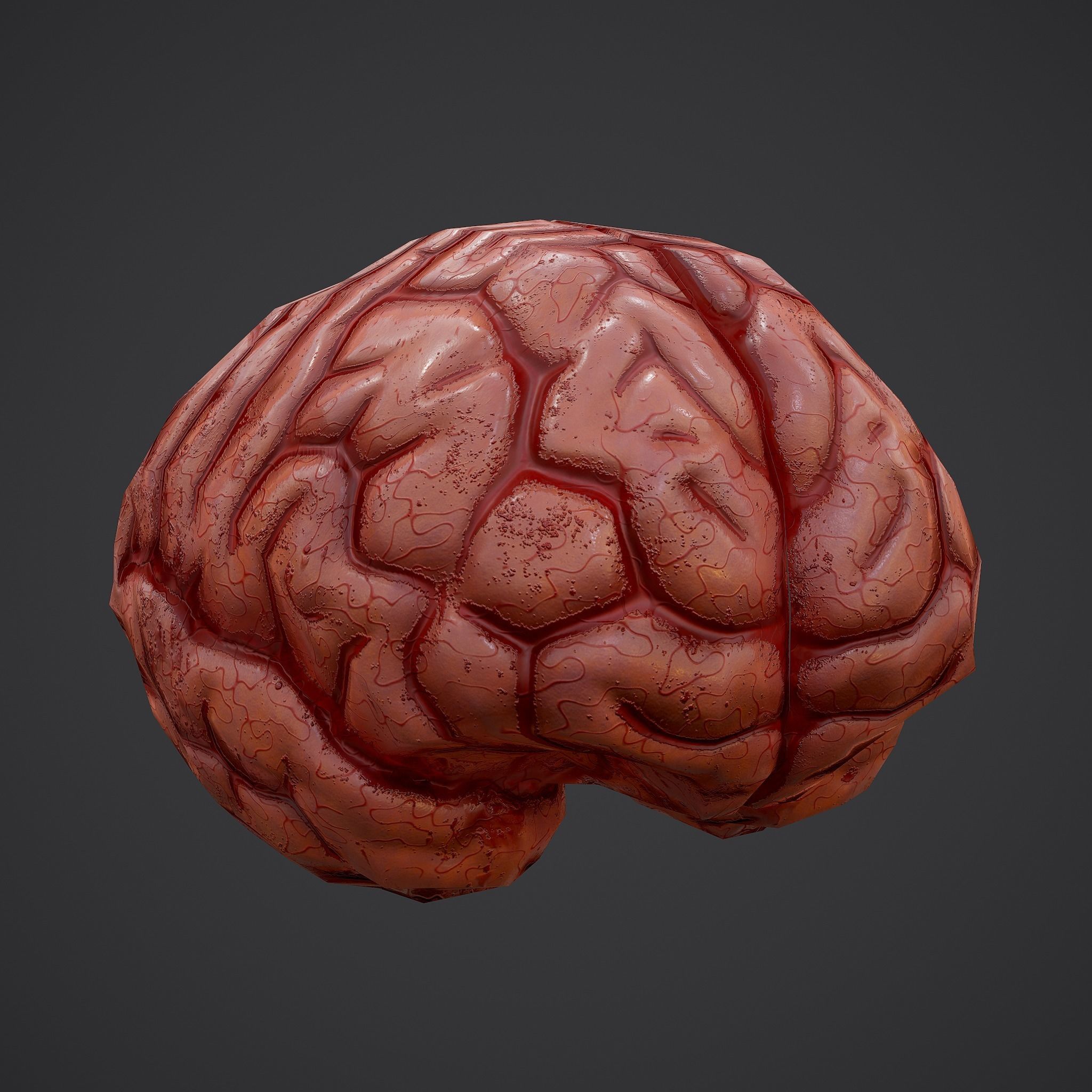 Human Brain Low-poly 3D model_22