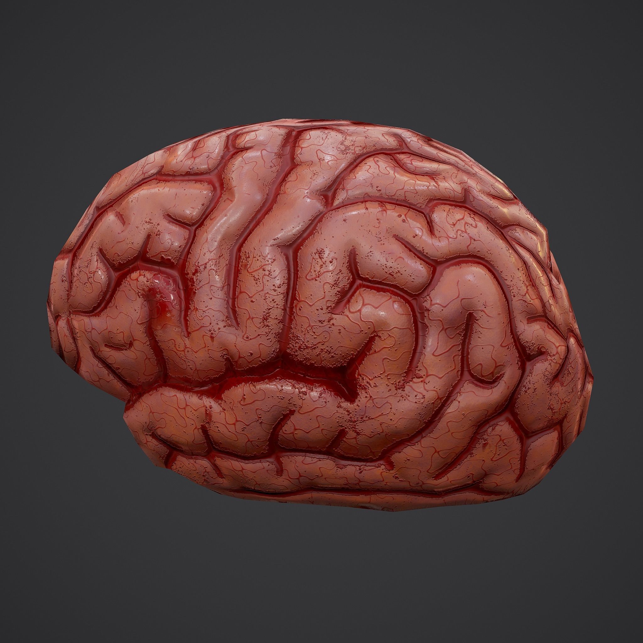 Human Brain Low-poly 3D model_12