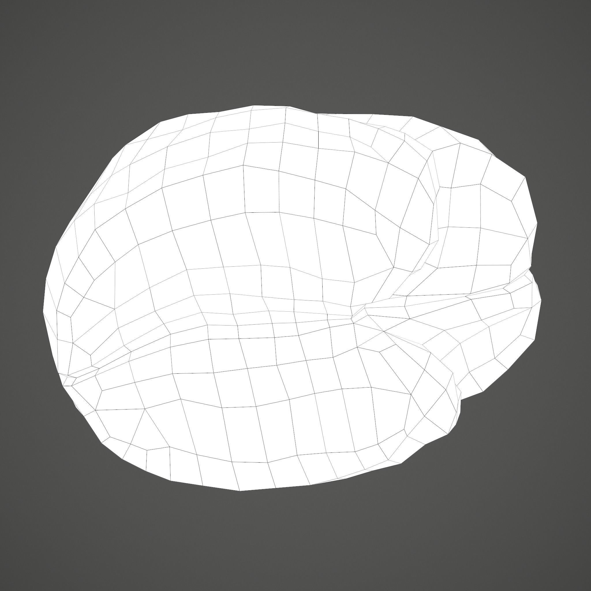 Human Brain Low-poly 3D model_38