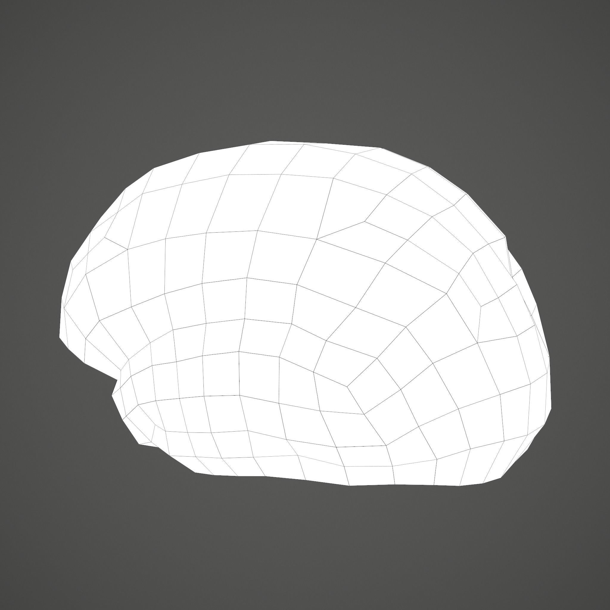 Human Brain Low-poly 3D model_28