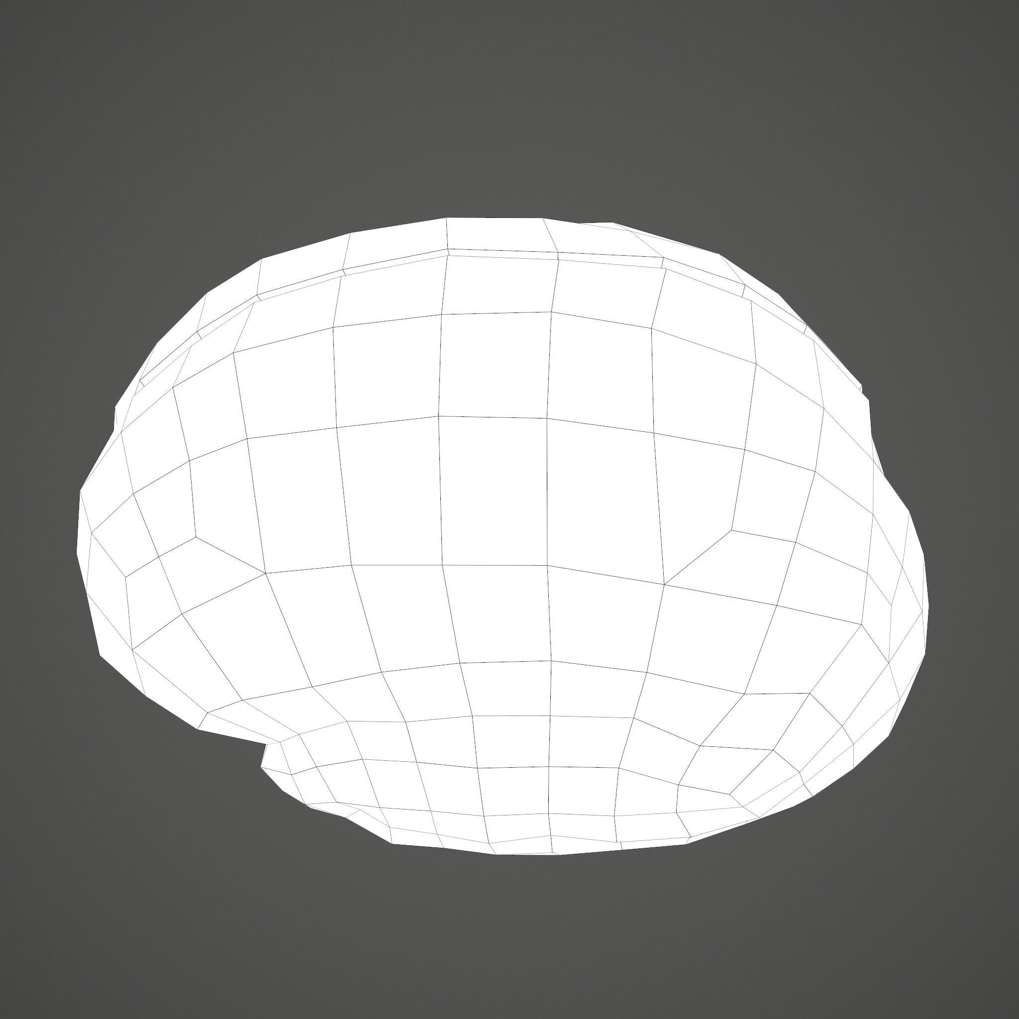 Human Brain Low-poly 3D model_30
