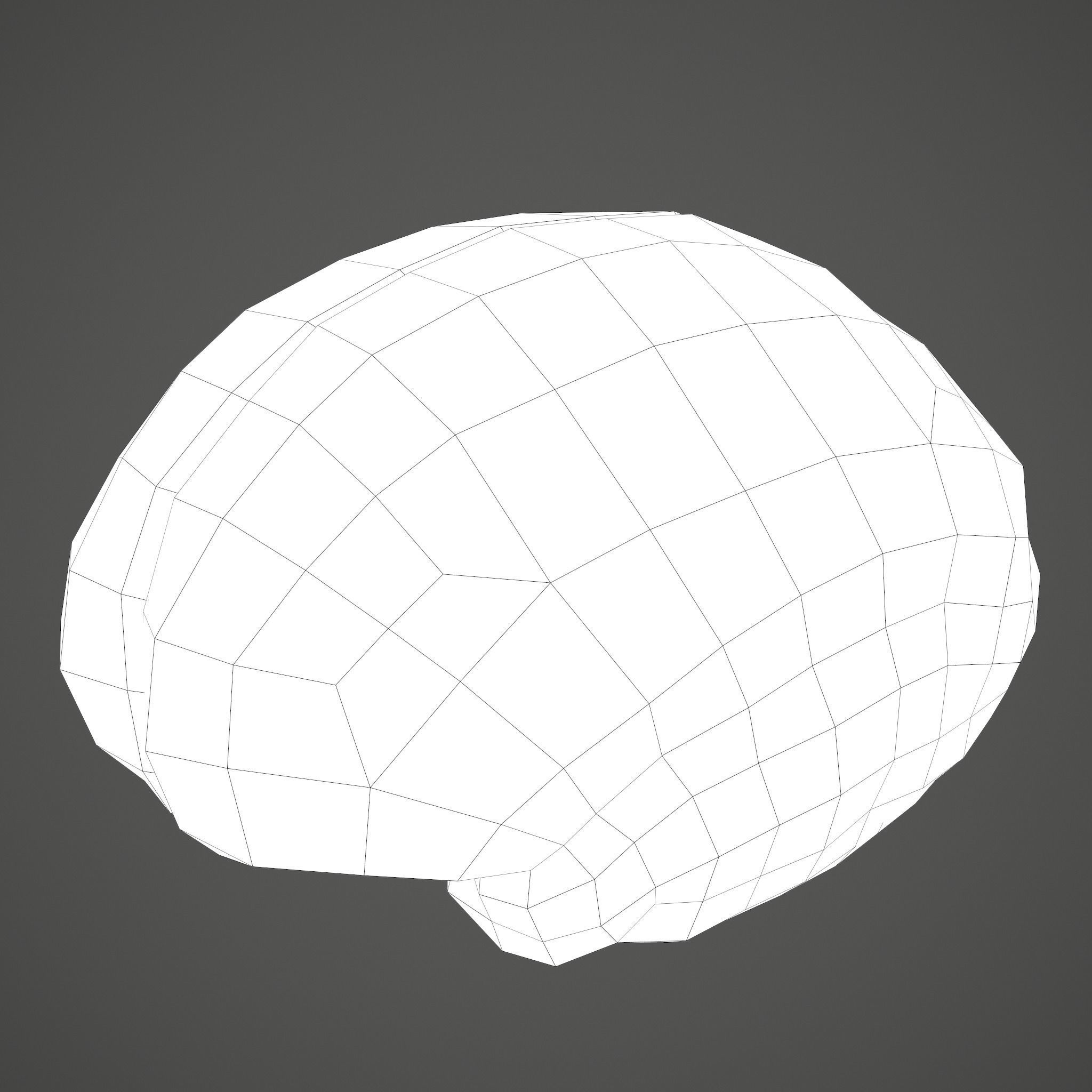 Human Brain Low-poly 3D model_26