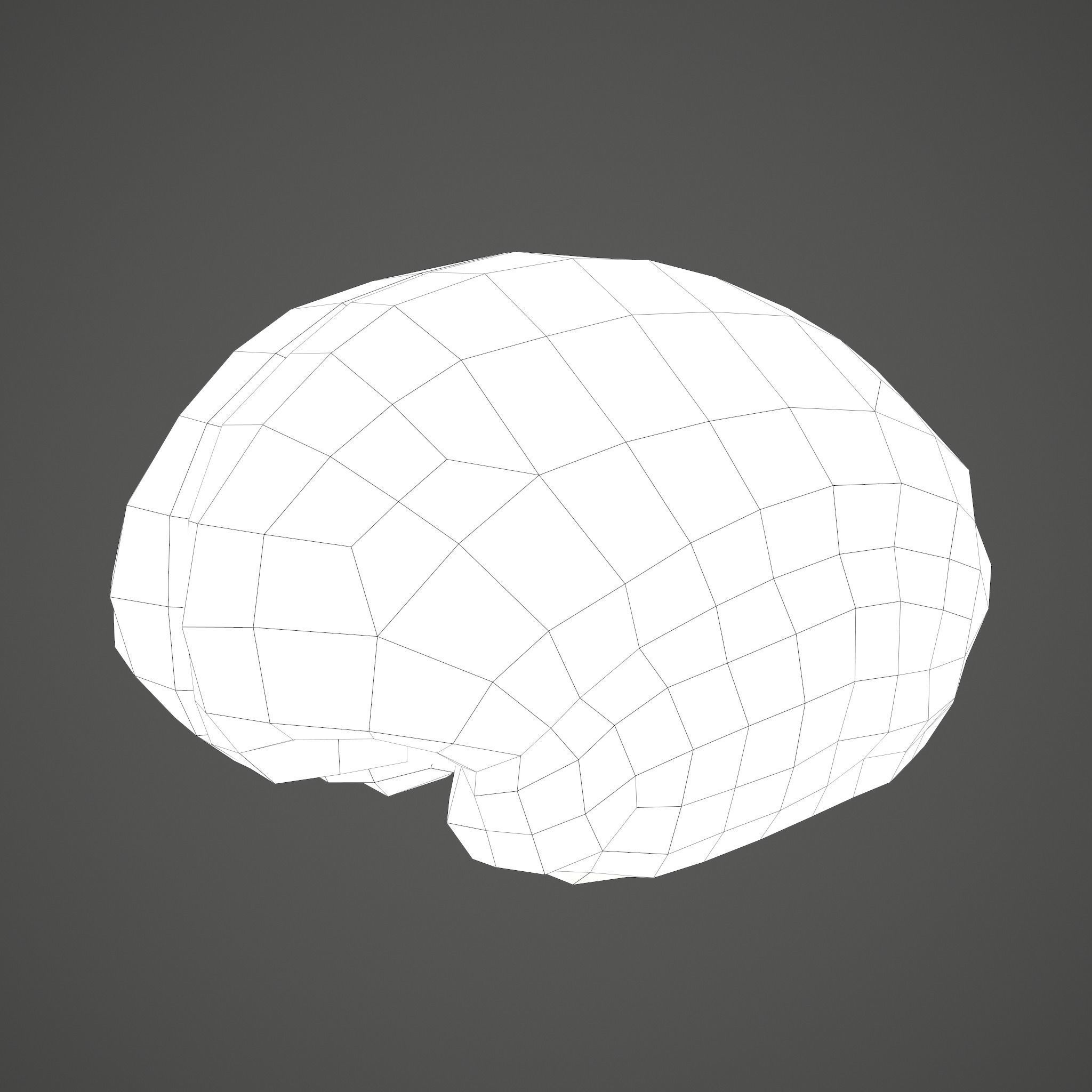 Human Brain Low-poly 3D model_29