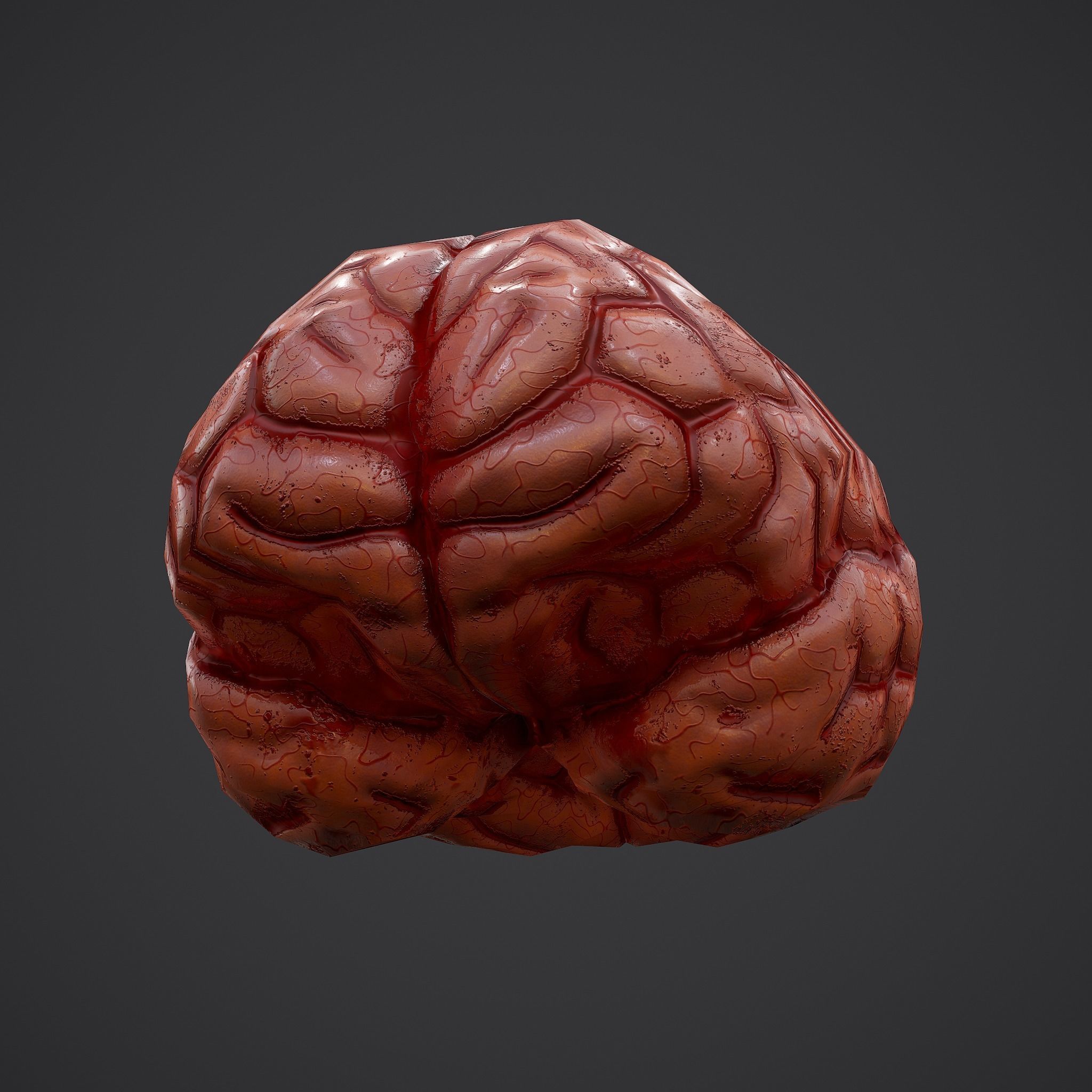 Human Brain Low-poly 3D model_24