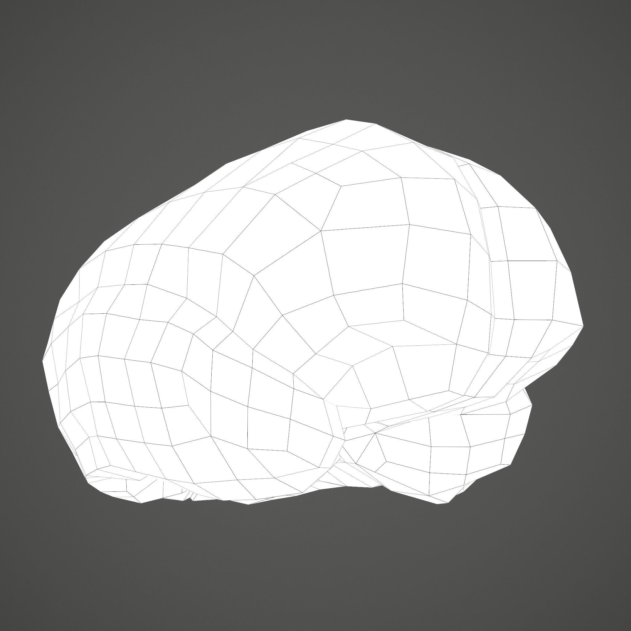 Human Brain Low-poly 3D model_35