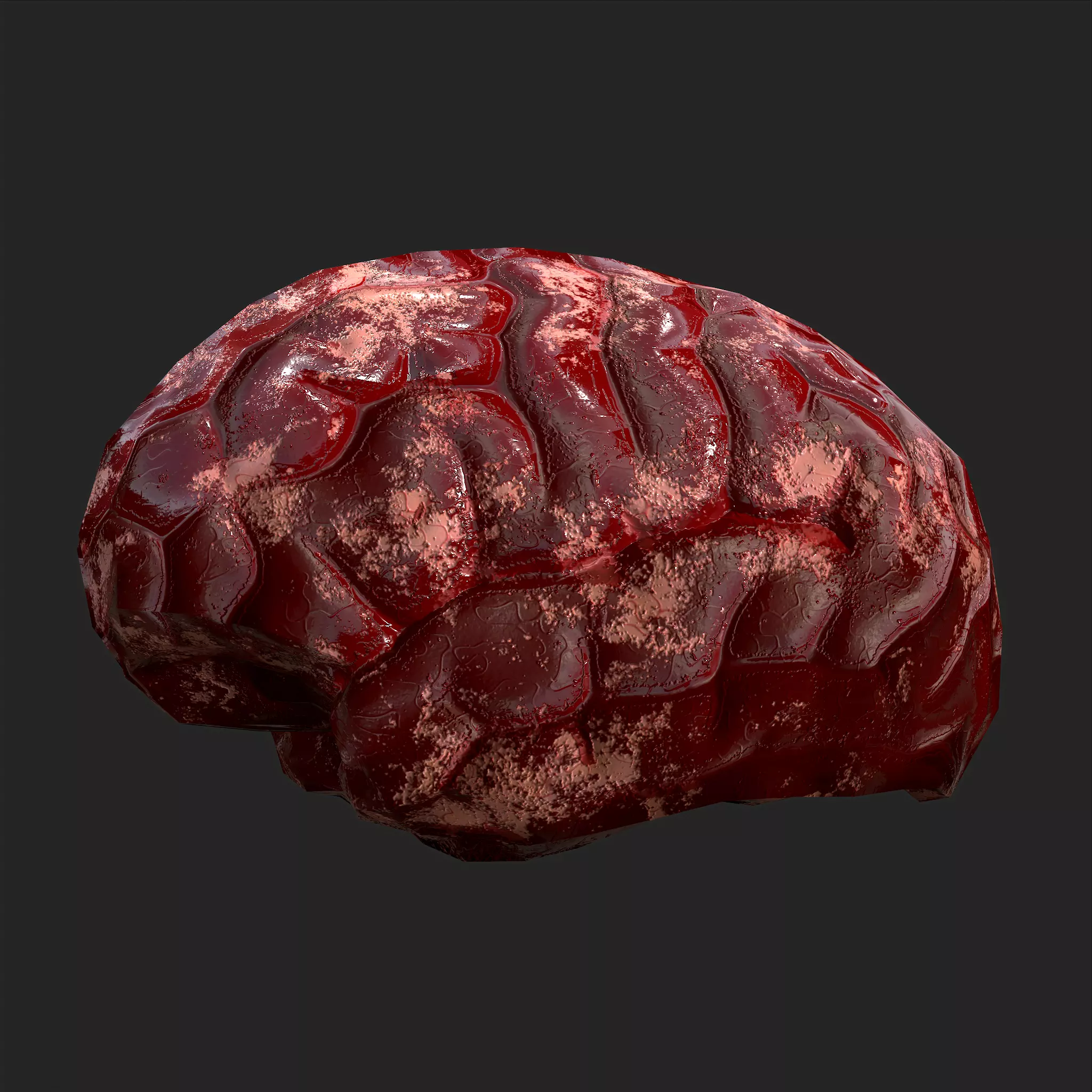 Human Brain Low-poly 3D model_0