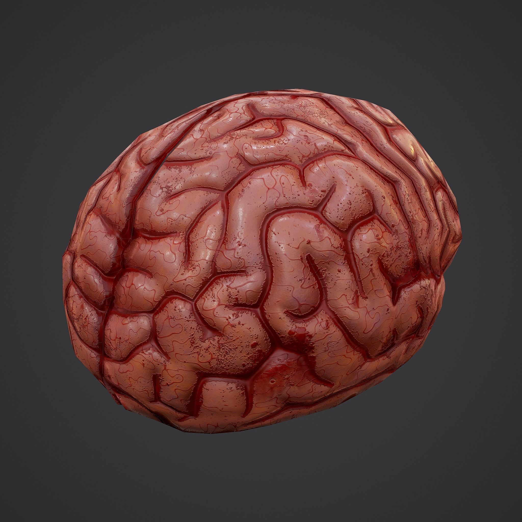 Human Brain Low-poly 3D model_8