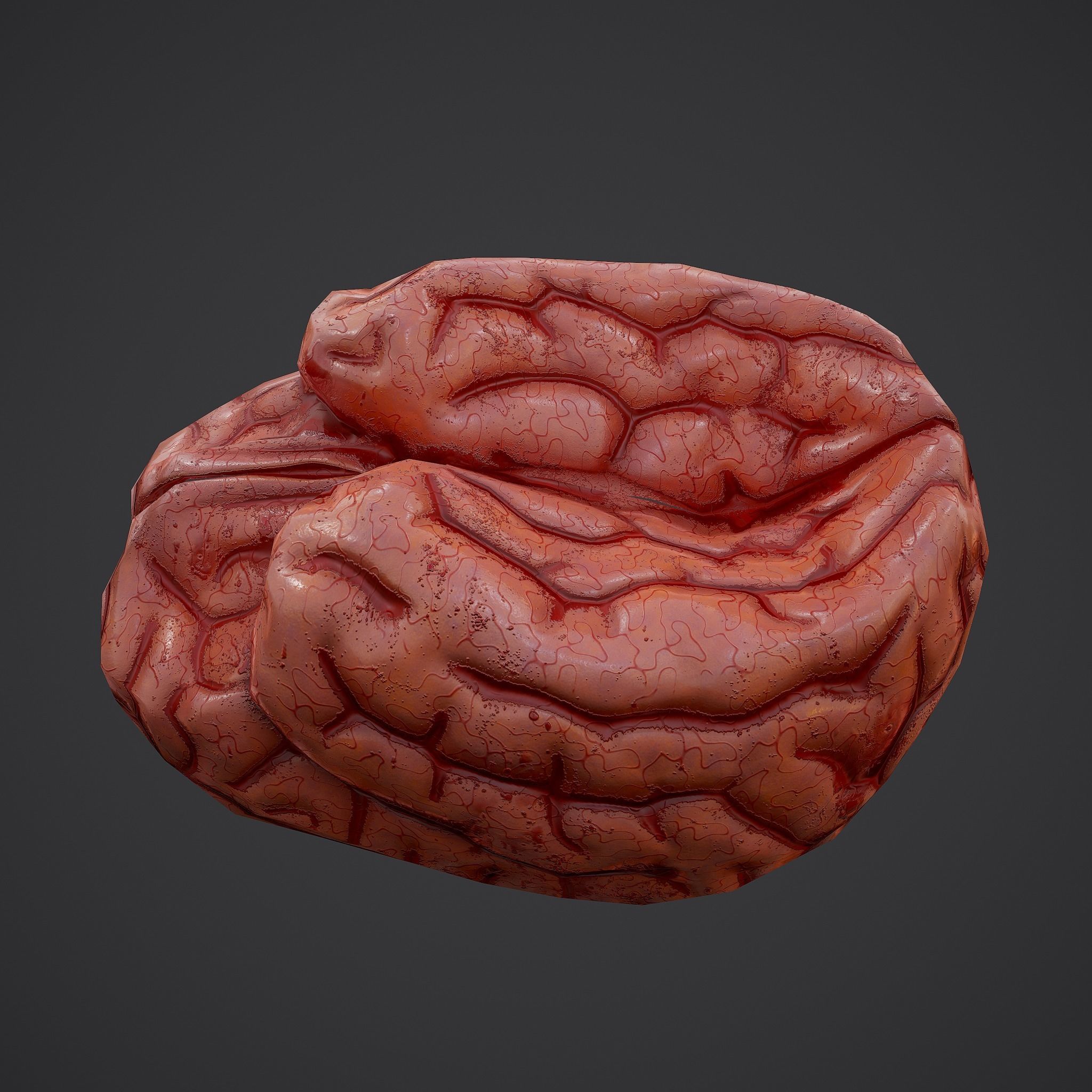 Human Brain Low-poly 3D model_18