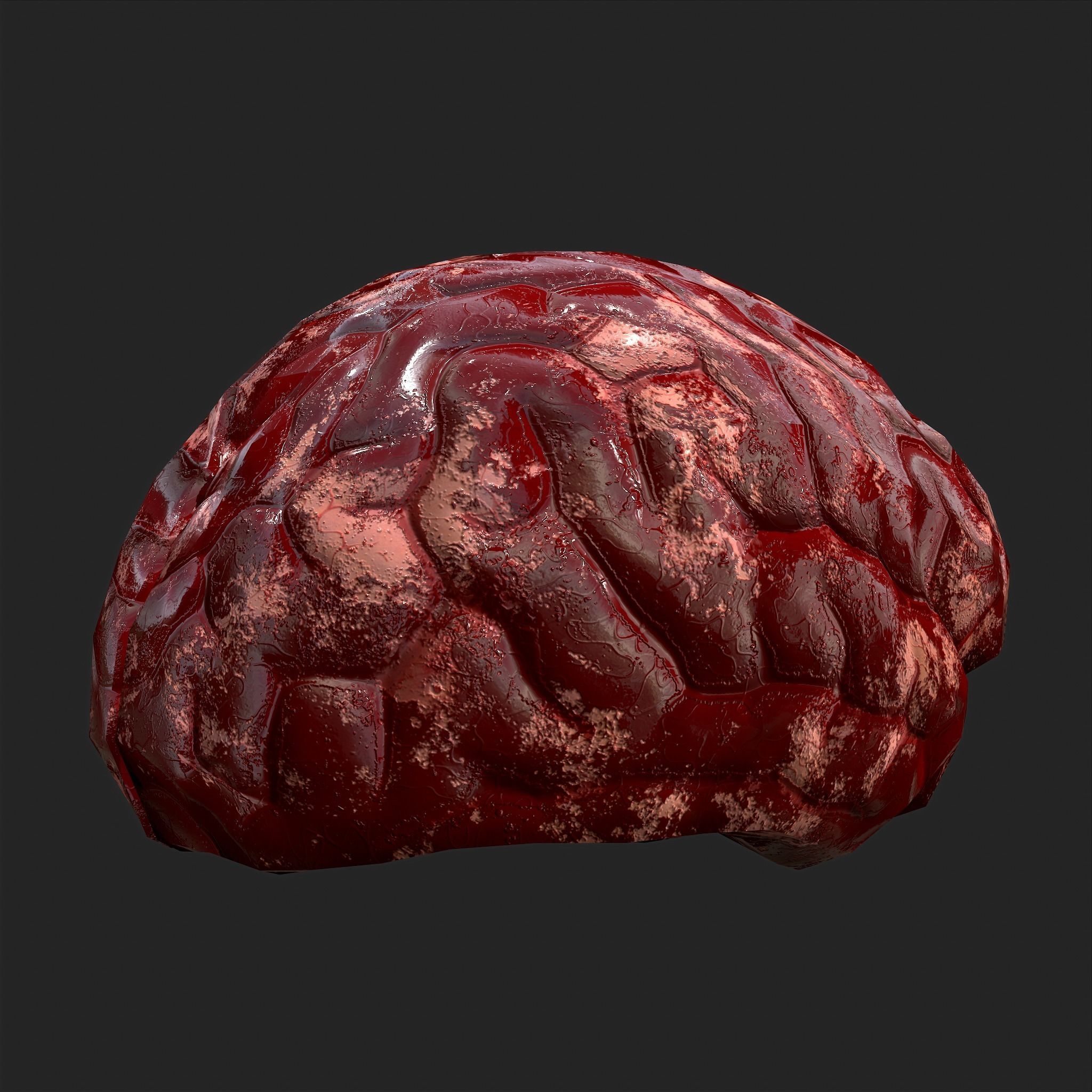 Human Brain Low-poly 3D model_4