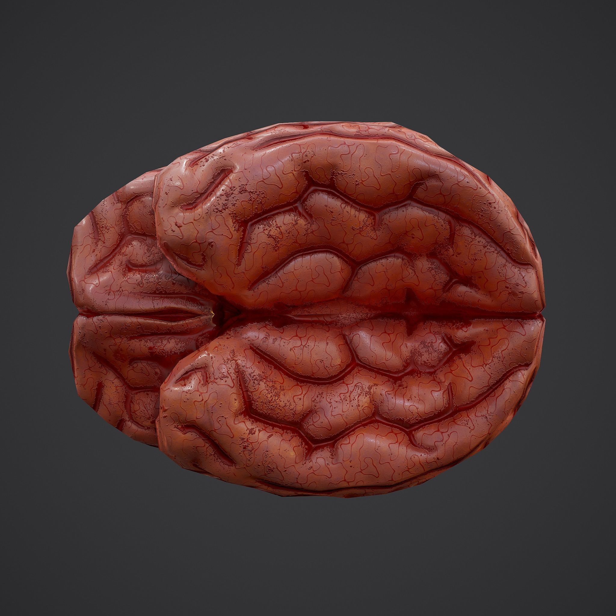 Human Brain Low-poly 3D model_17