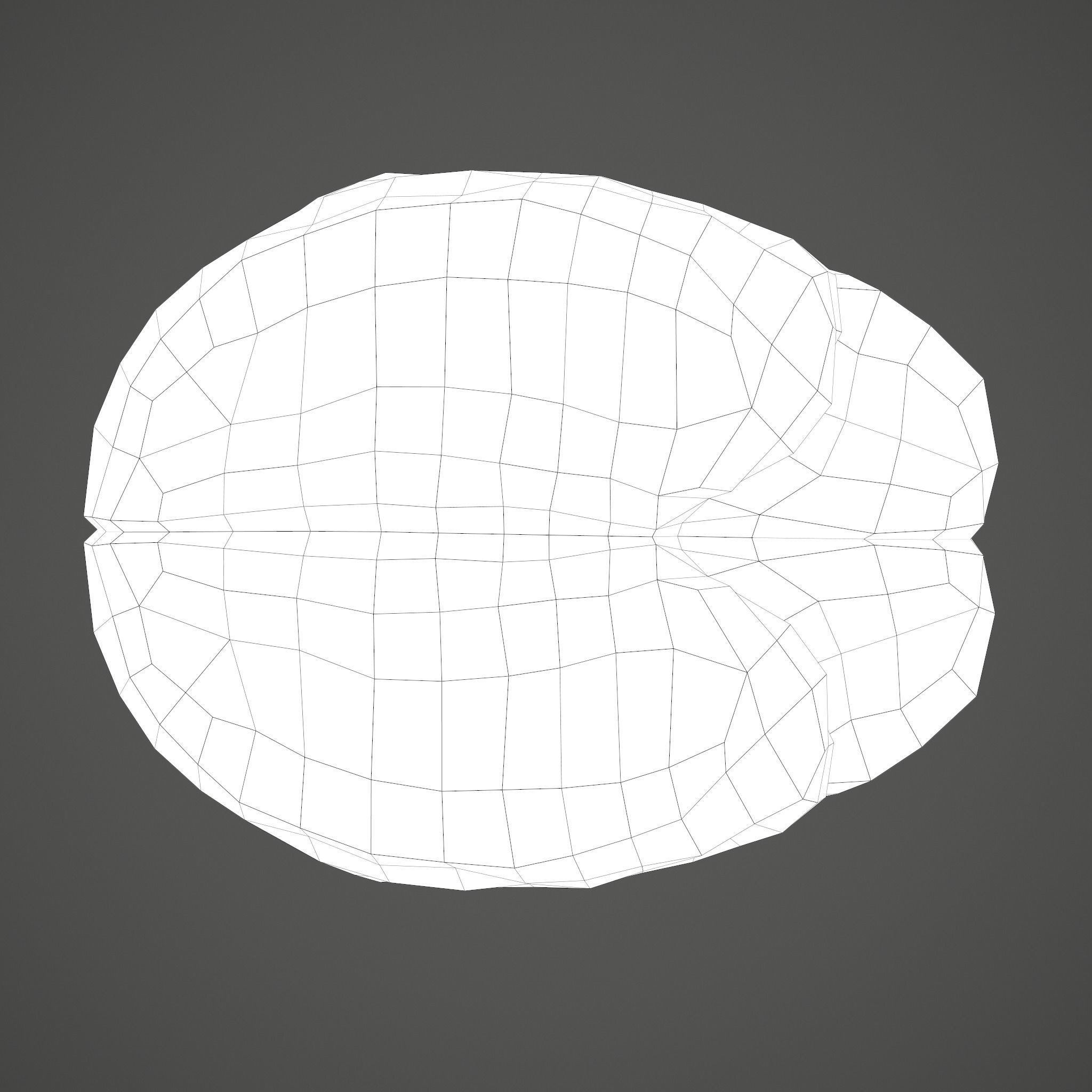 Human Brain Low-poly 3D model_32