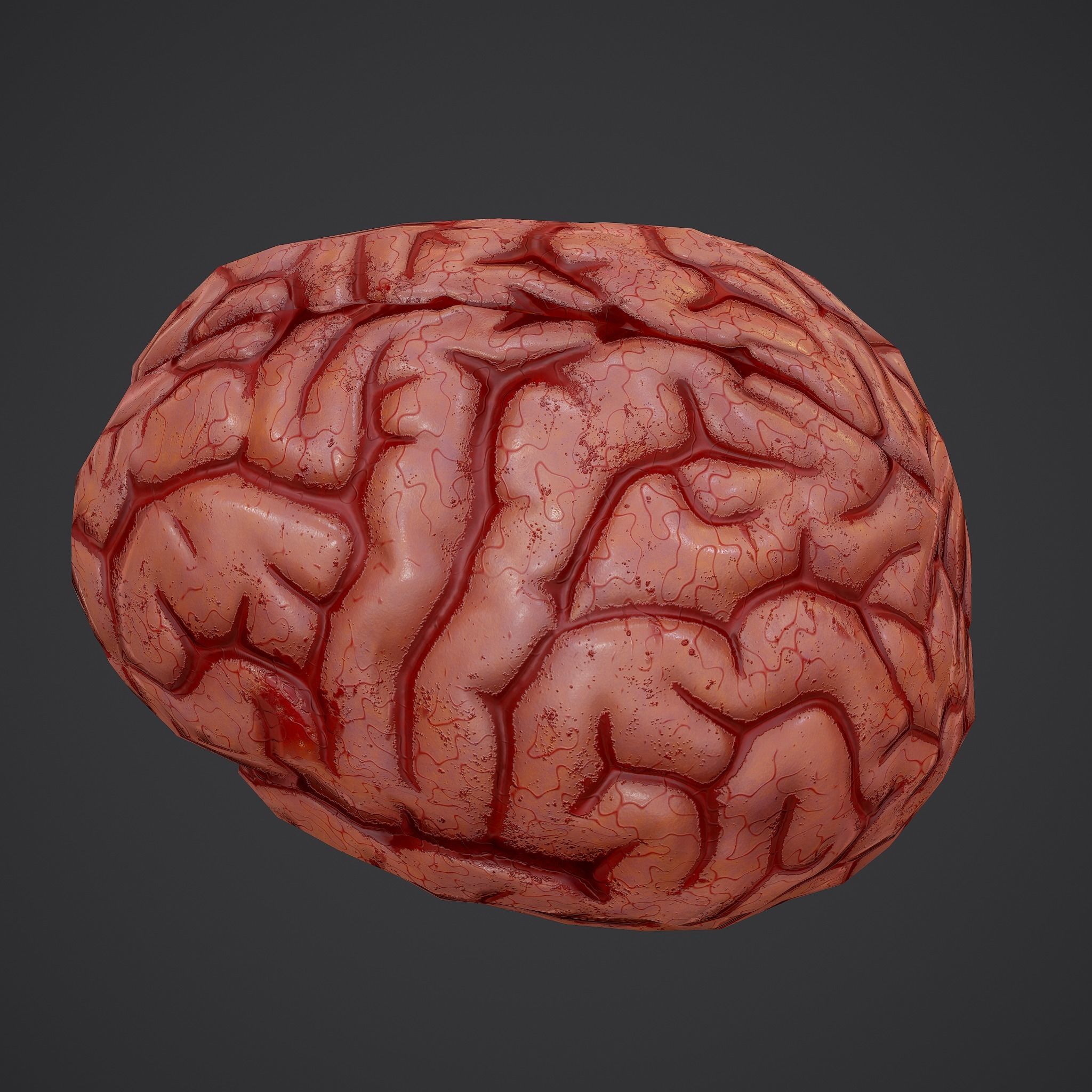 Human Brain Low-poly 3D model_13