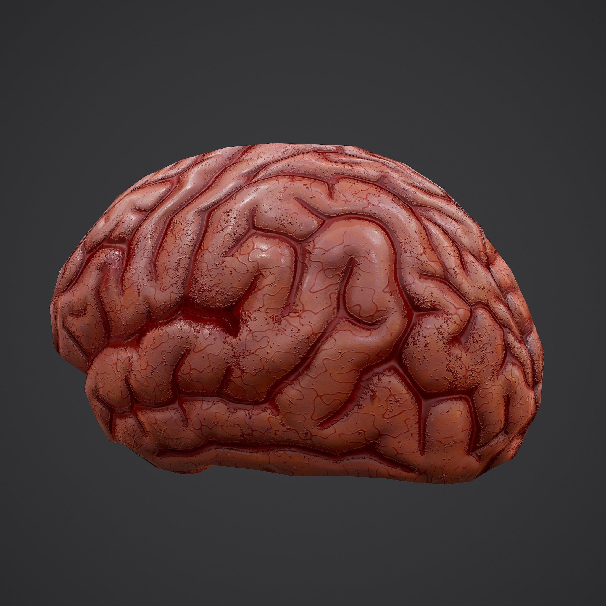 Human Brain Low-poly 3D model_14