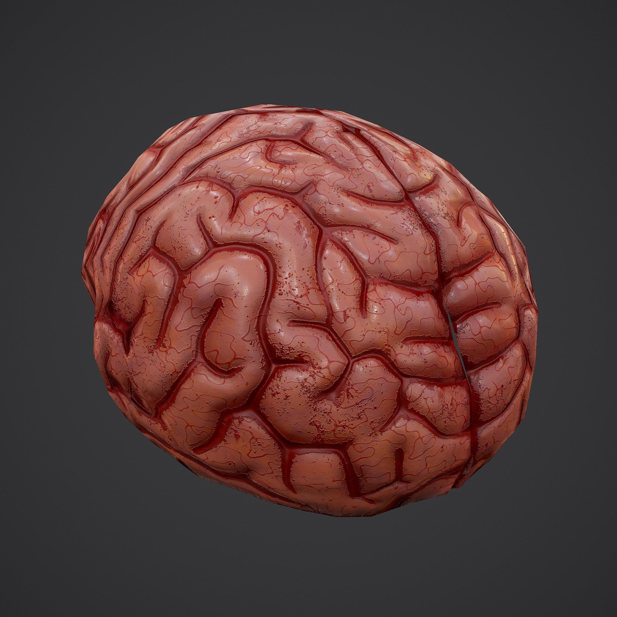 Human Brain Low-poly 3D model_11