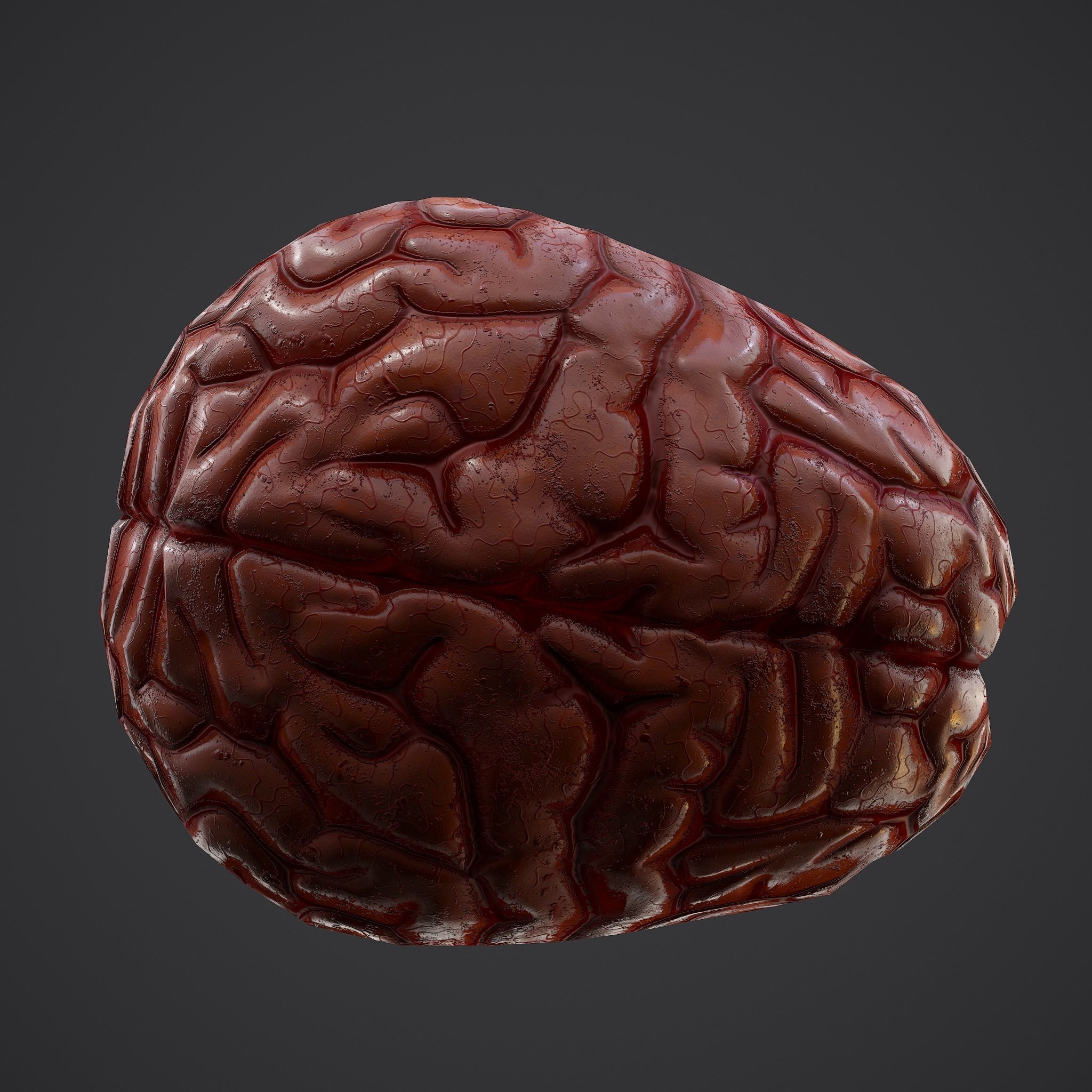 Human Brain Low-poly 3D model_21