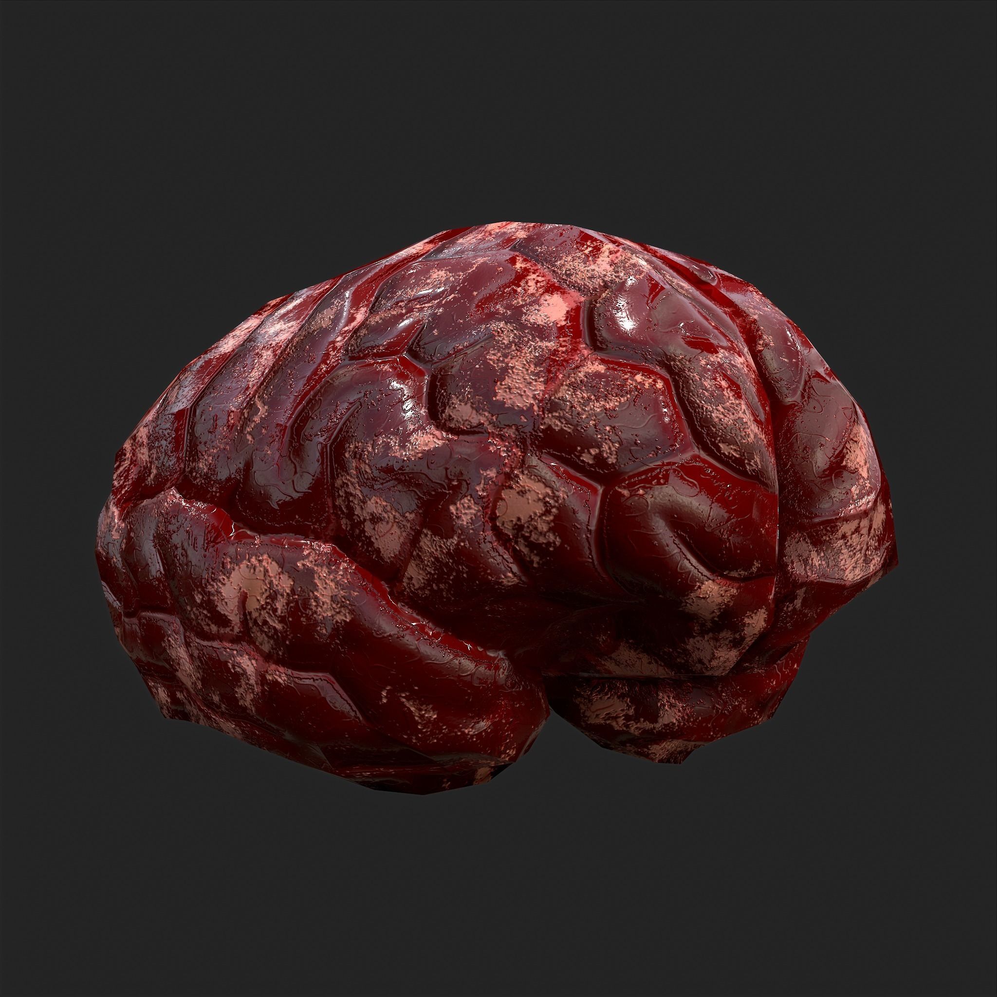 Human Brain Low-poly 3D model_6