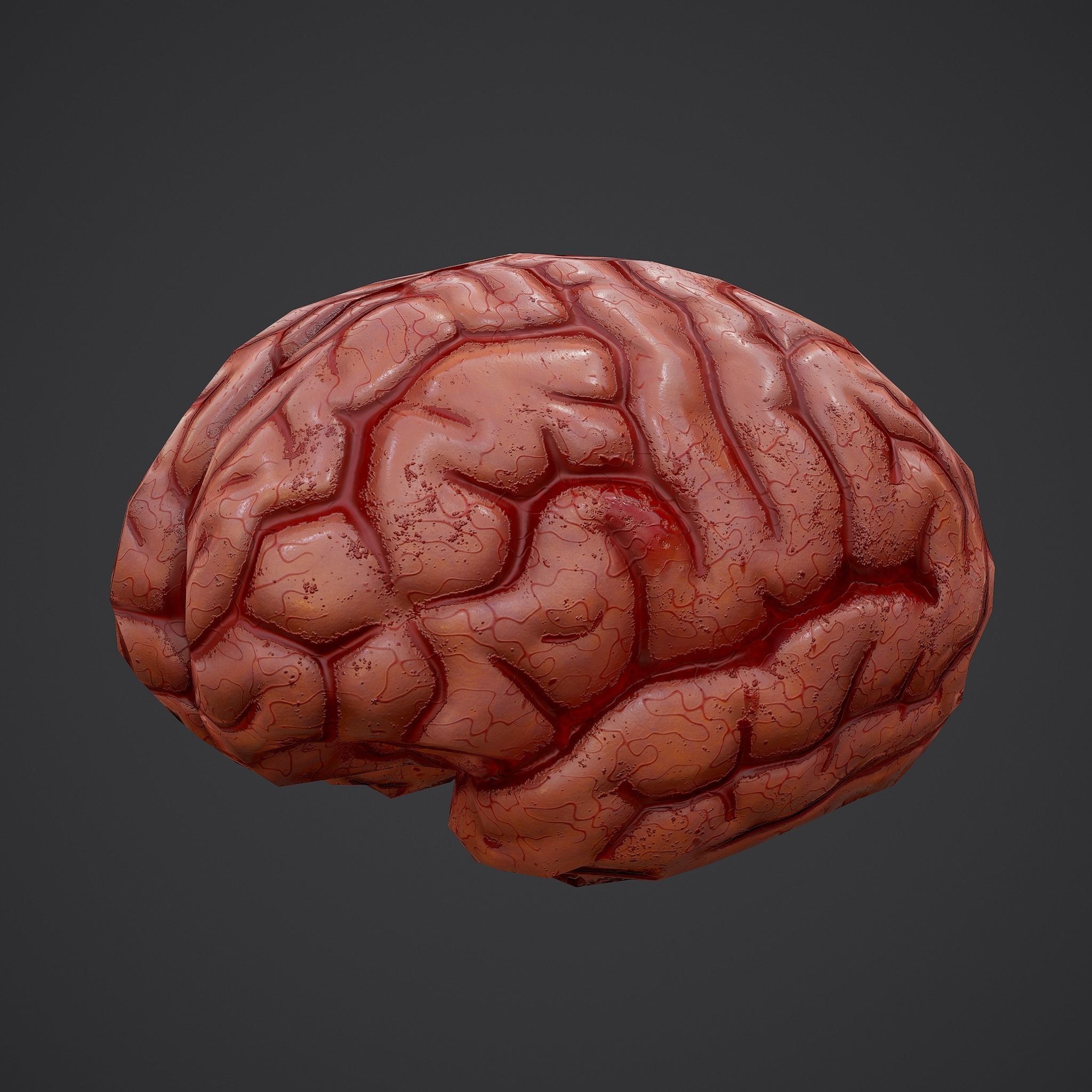 Human Brain Low-poly 3D model_25