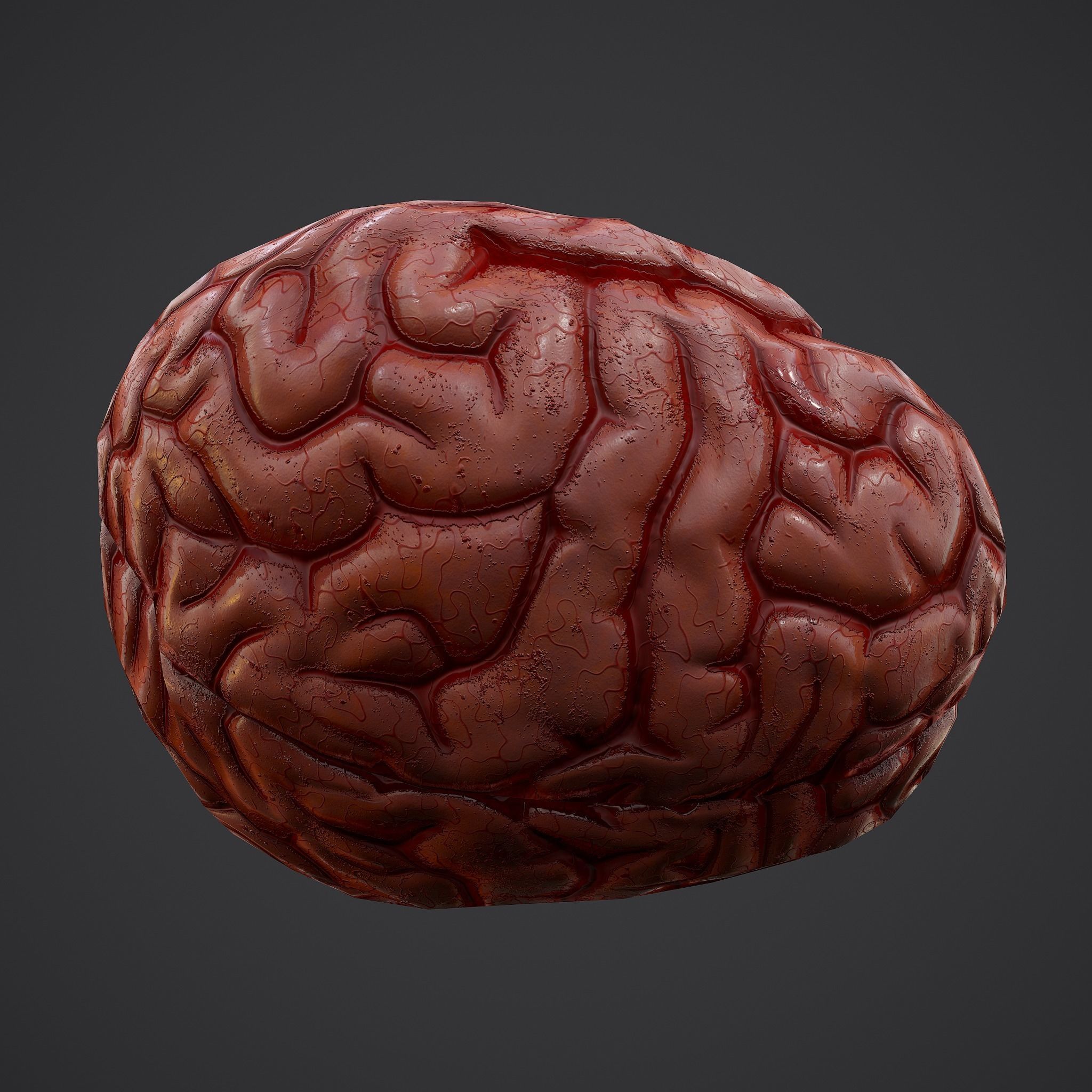 Human Brain Low-poly 3D model_20
