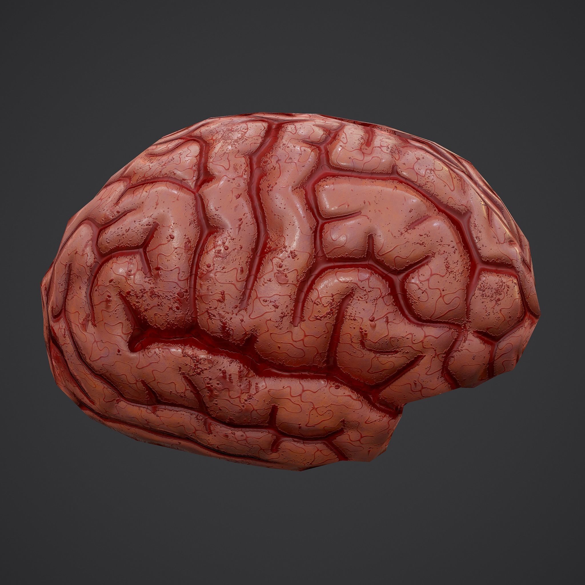 Human Brain Low-poly 3D model_9