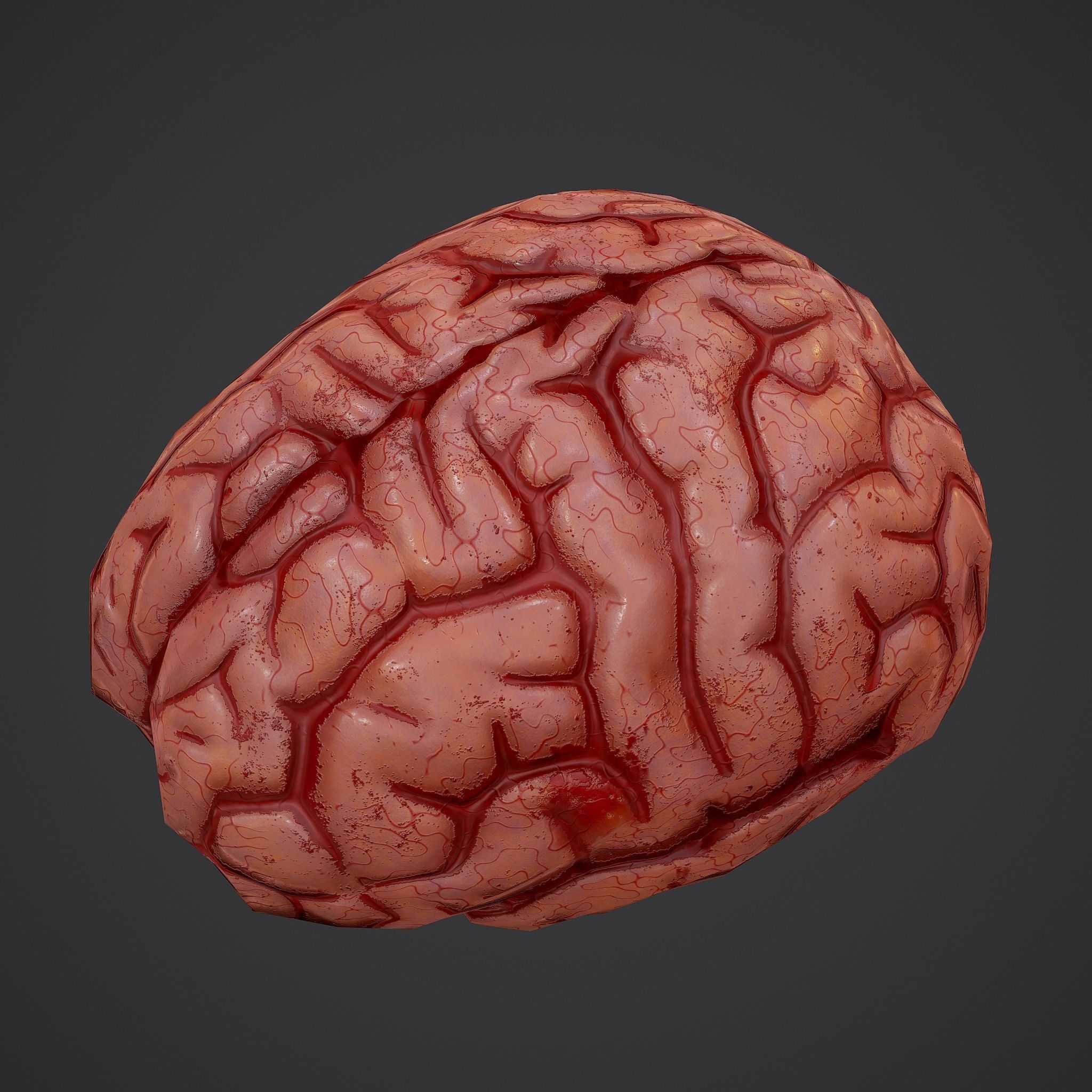 Human Brain Low-poly 3D model_7
