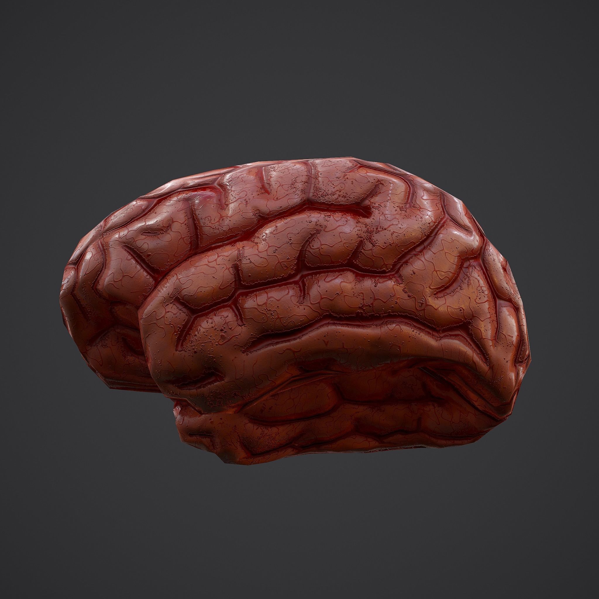 Human Brain Low-poly 3D model_15