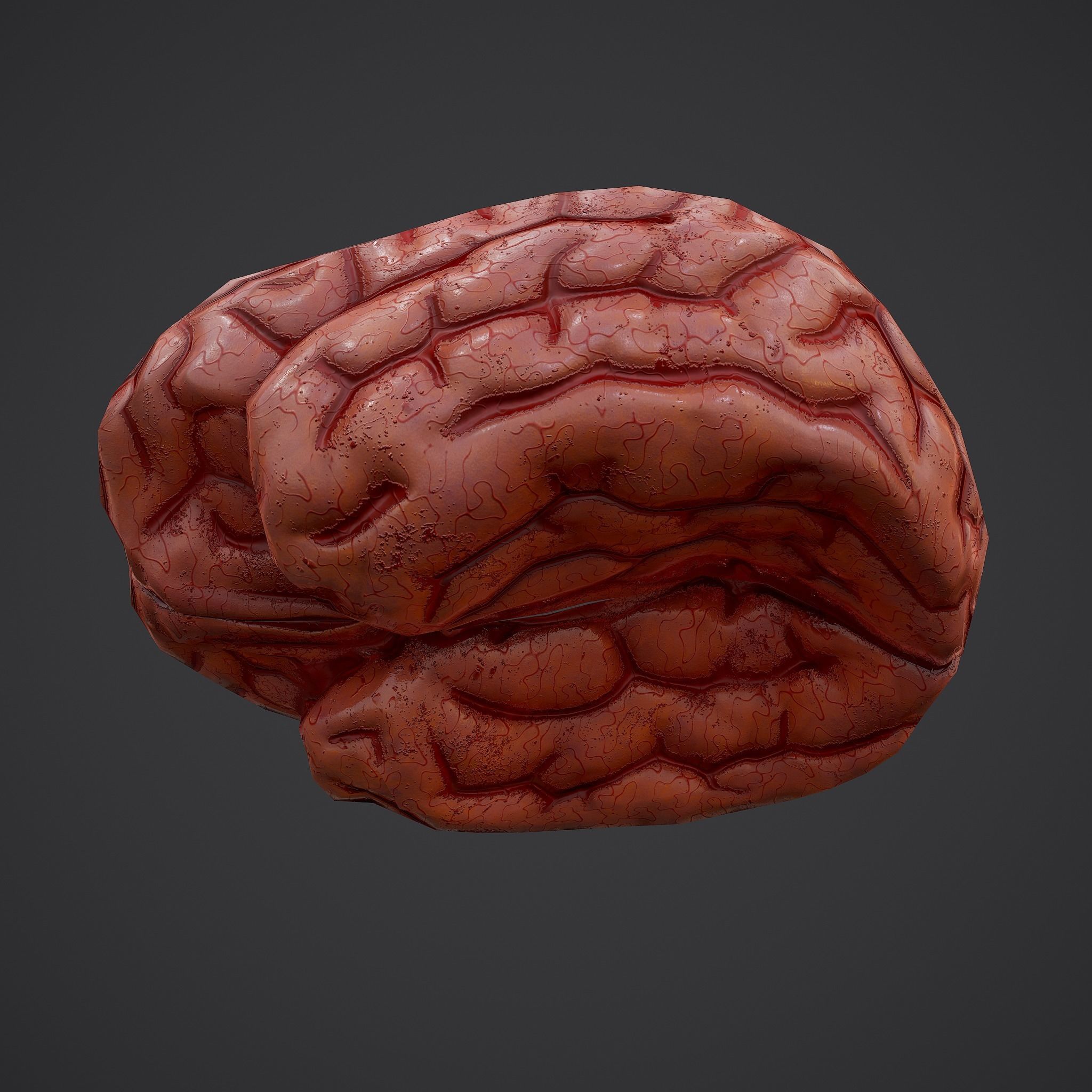 Human Brain Low-poly 3D model_16