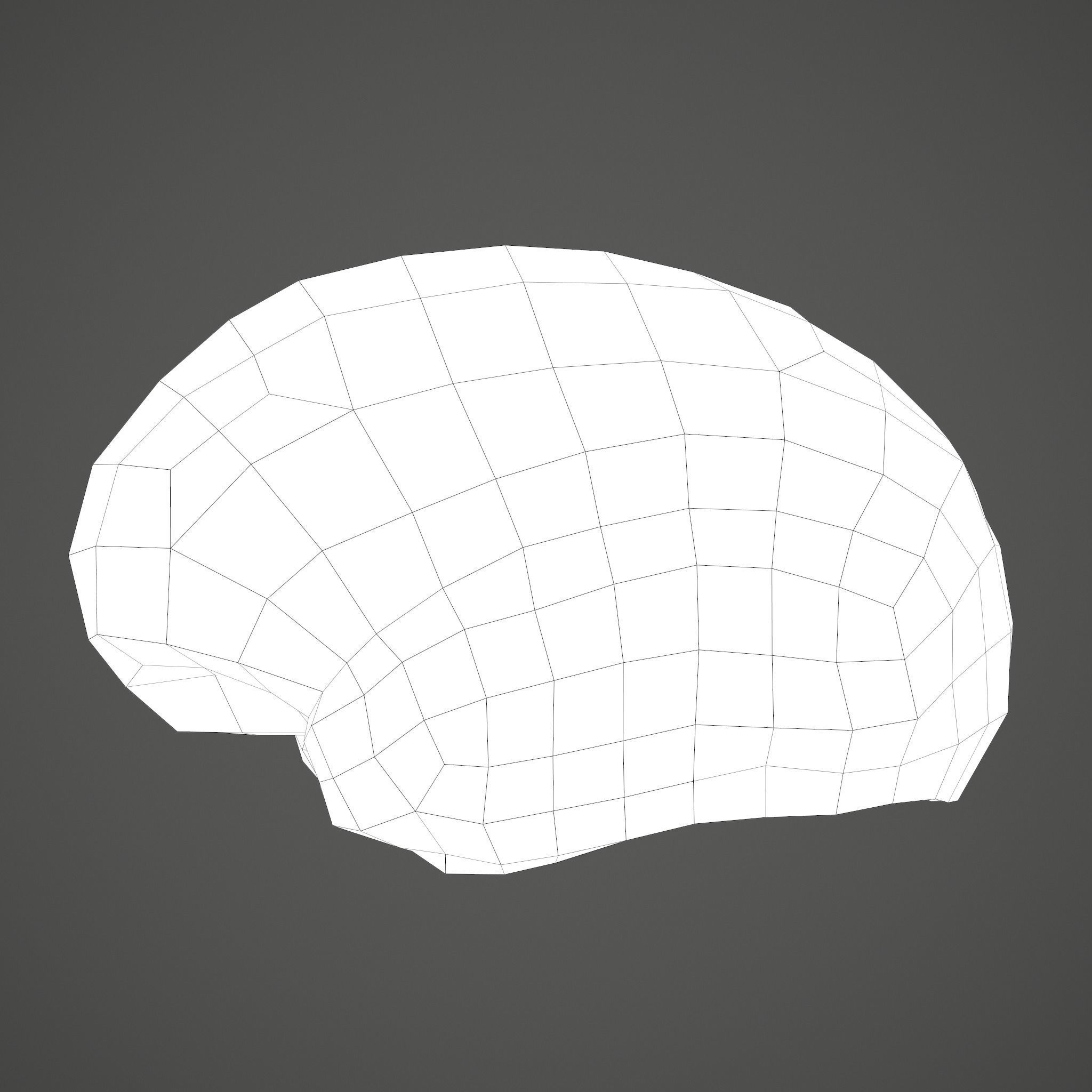 Human Brain Low-poly 3D model_33