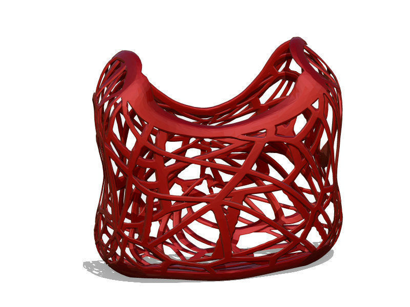 Bag Wired 3D print model_2