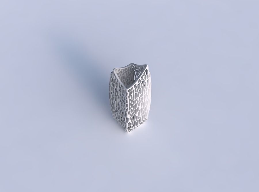 Vase double arc rectangle with organic lattice and twisted th... 3D print model_1