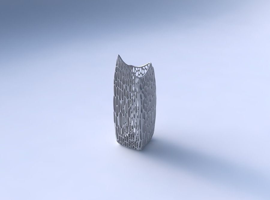 Vase double arc rectangle with organic lattice and twisted th... 3D print model_3