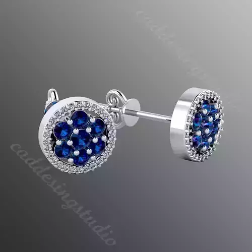 Earrings bi 7