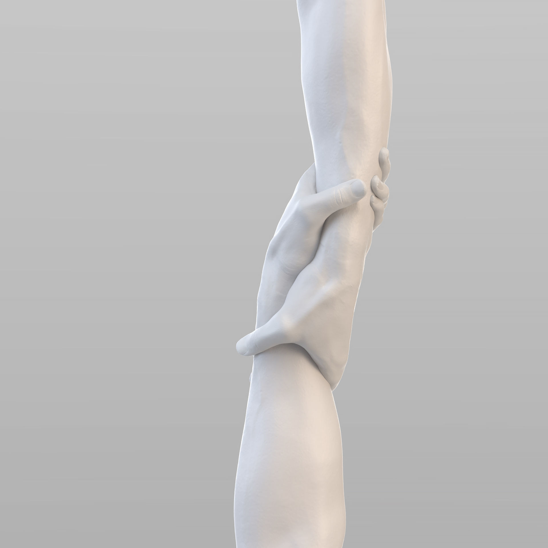 Realistic Grabbed Hands 3D model_3