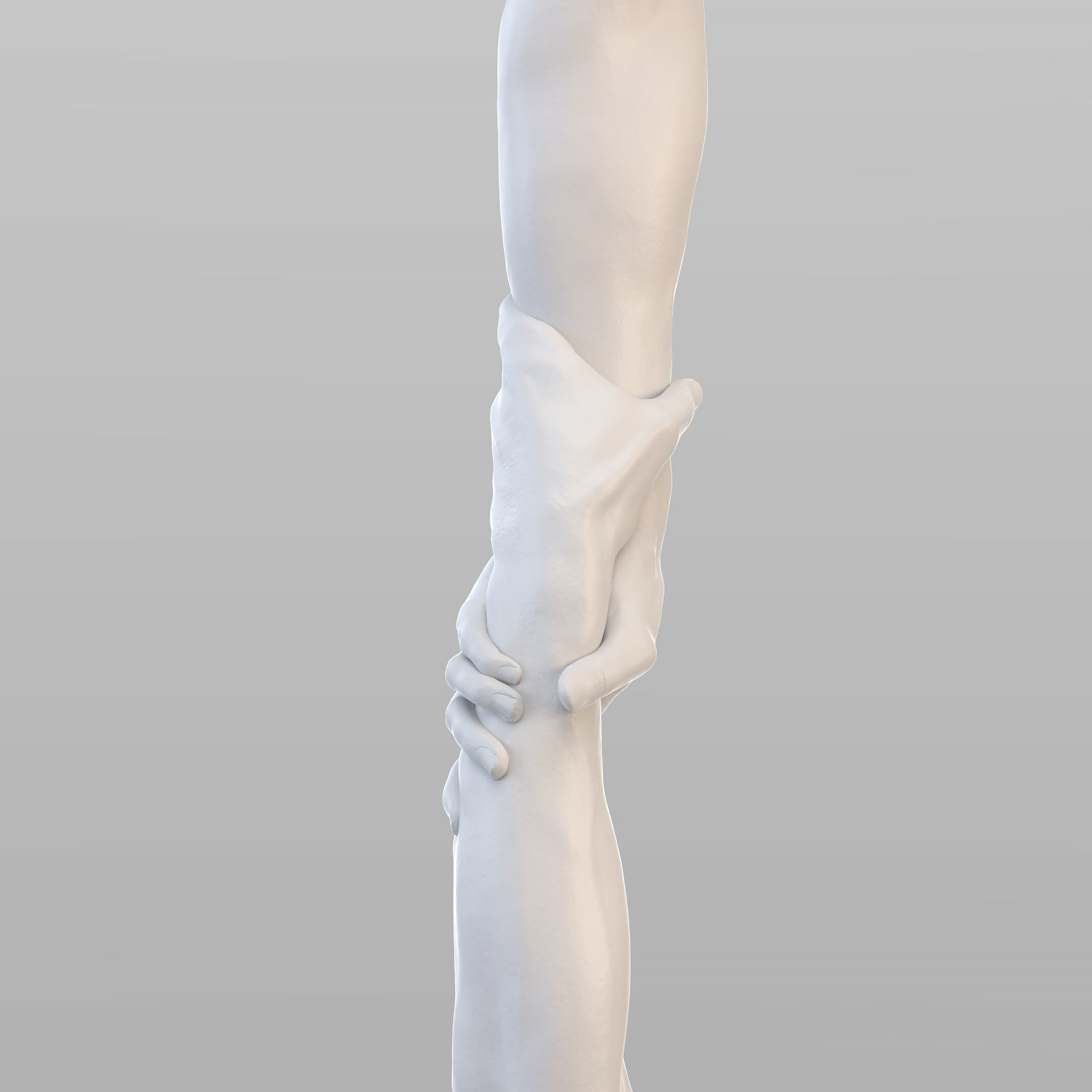 Realistic Grabbed Hands 3D model_4