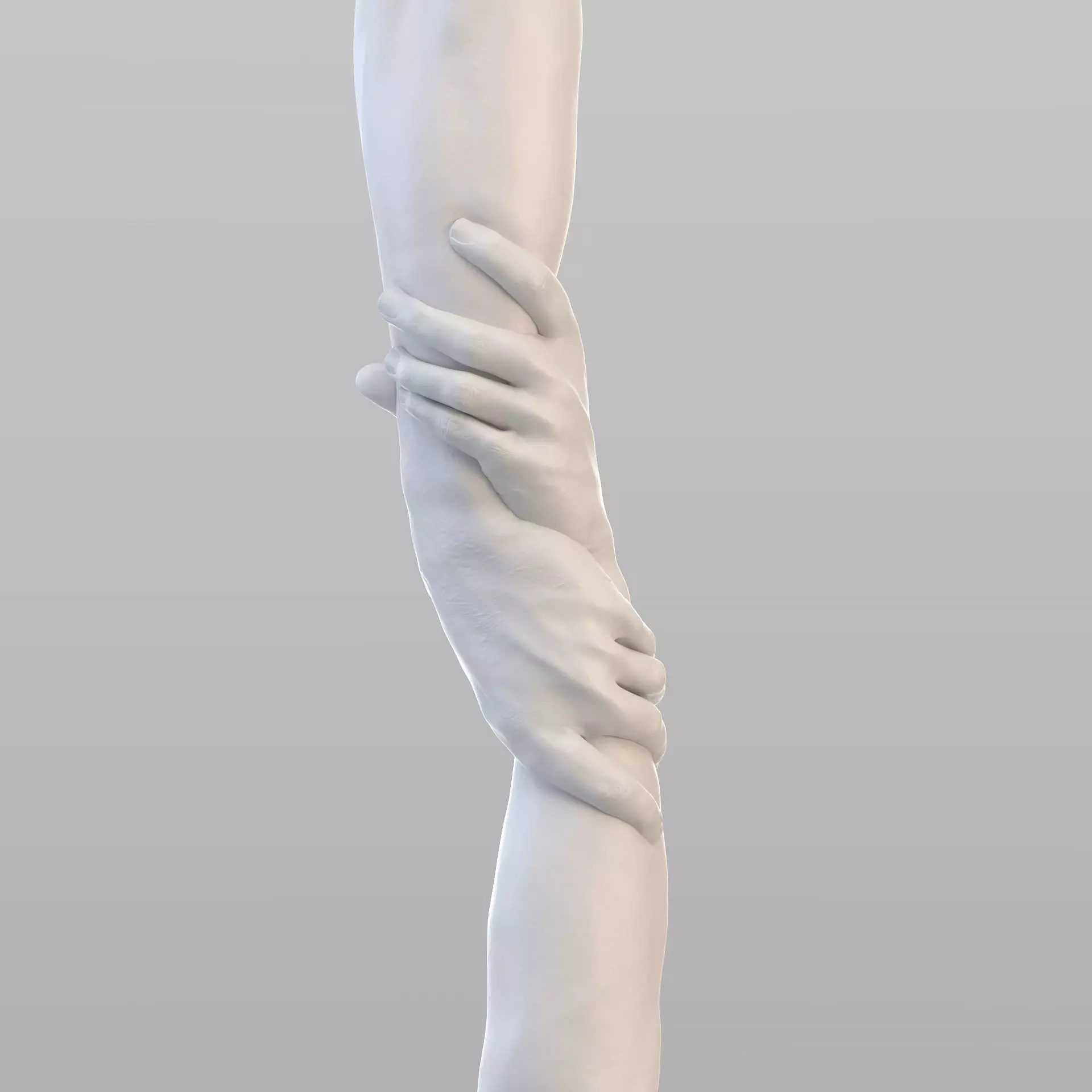 Realistic Grabbed Hands 3D model_0