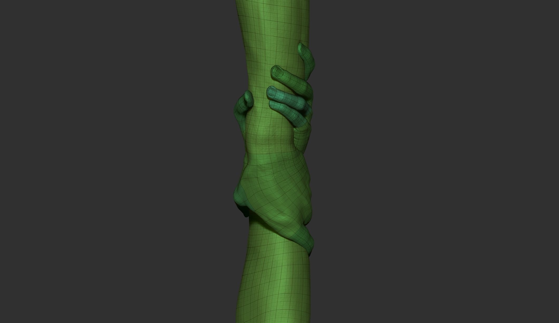 Realistic Grabbed Hands 3D model_8