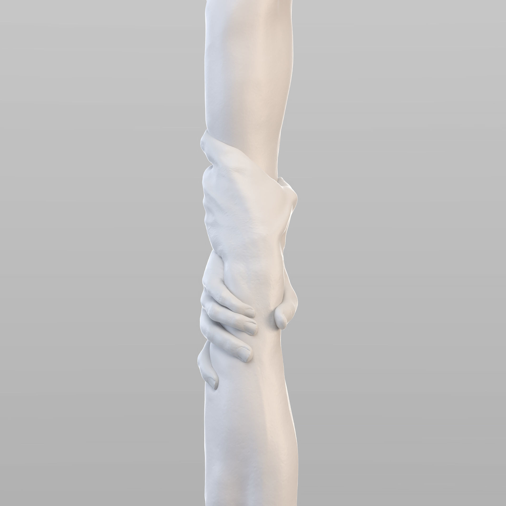 Realistic Grabbed Hands 3D model_5