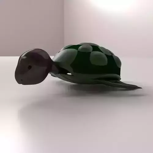 Cartoon Turtle