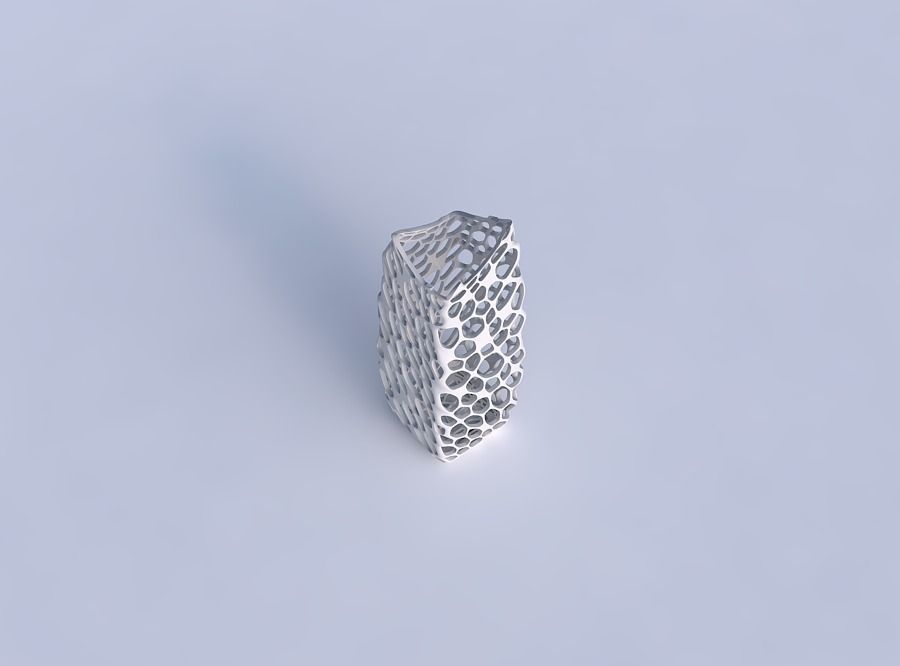 Vase double arc rectangle with twisted dense organic lattice 3D print model_1