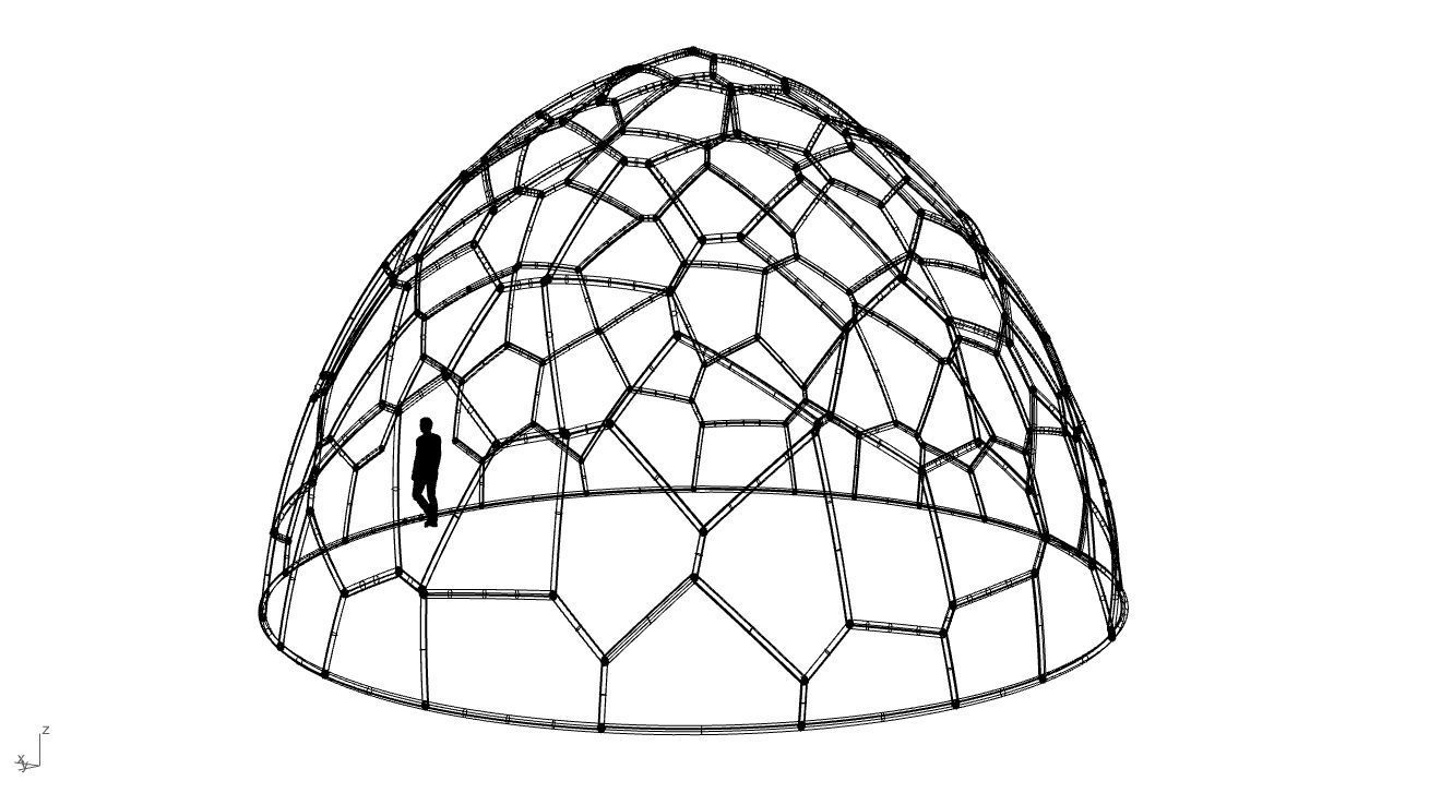 Voronoi Dome structure Geodoesic Like Wireframe 3D model_114