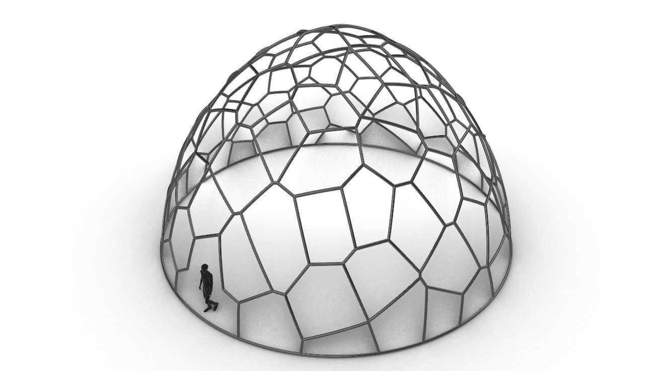Voronoi Dome structure Geodoesic Like Wireframe 3D model_46