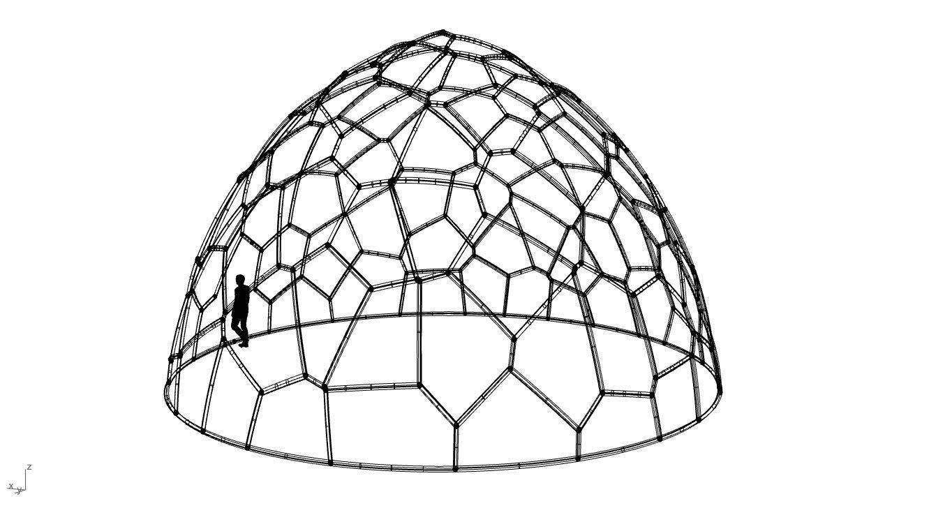 Voronoi Dome structure Geodoesic Like Wireframe 3D model_102