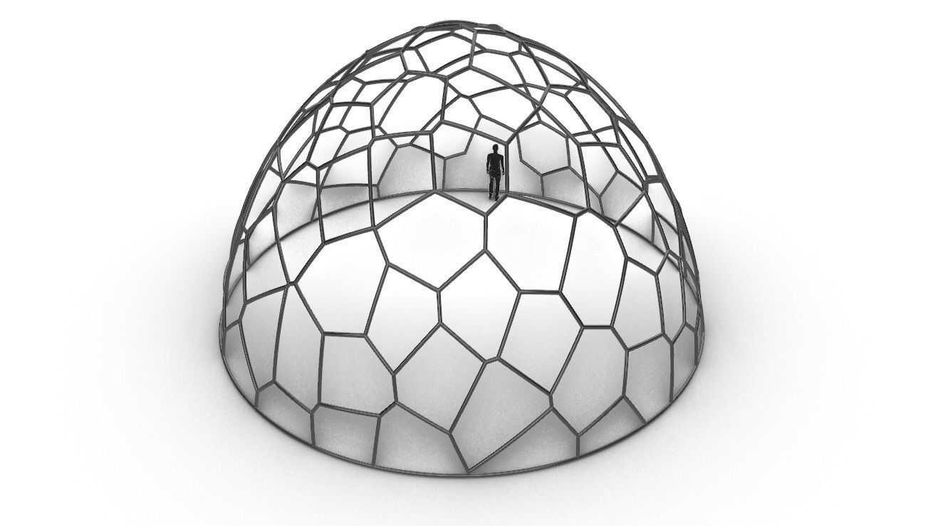Voronoi Dome structure Geodoesic Like Wireframe 3D model_53