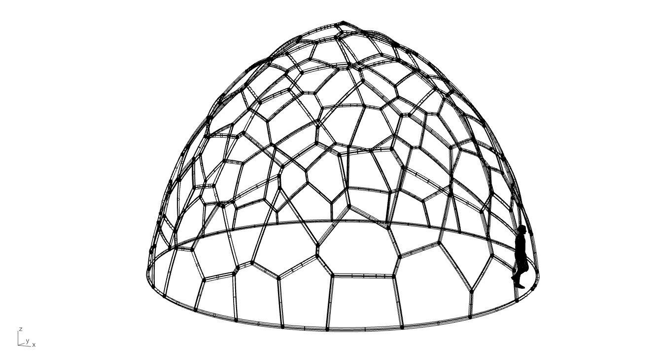 Voronoi Dome structure Geodoesic Like Wireframe 3D model_106