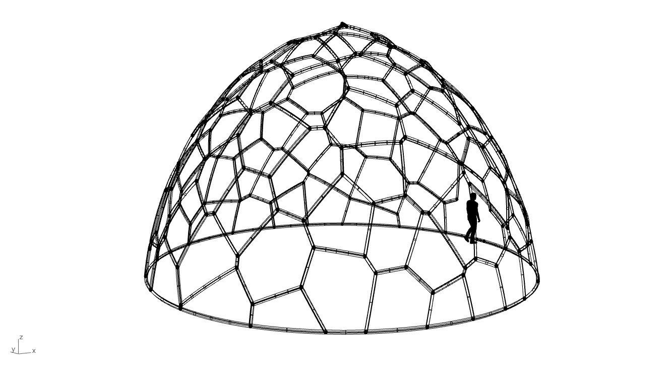 Voronoi Dome structure Geodoesic Like Wireframe 3D model_101