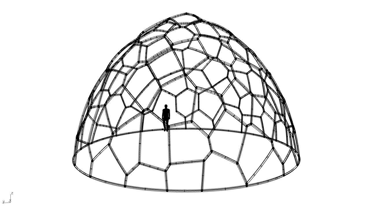 Voronoi Dome structure Geodoesic Like Wireframe 3D model_95