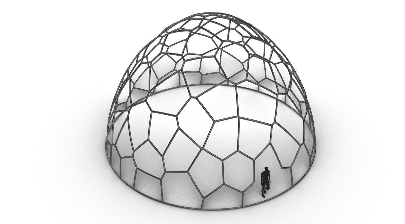 Voronoi Dome structure Geodoesic Like Wireframe 3D model_35